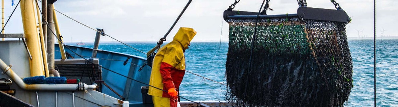 Fishing For Litter