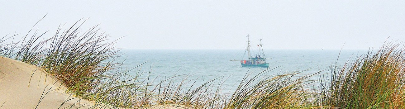 Banner Noordzee