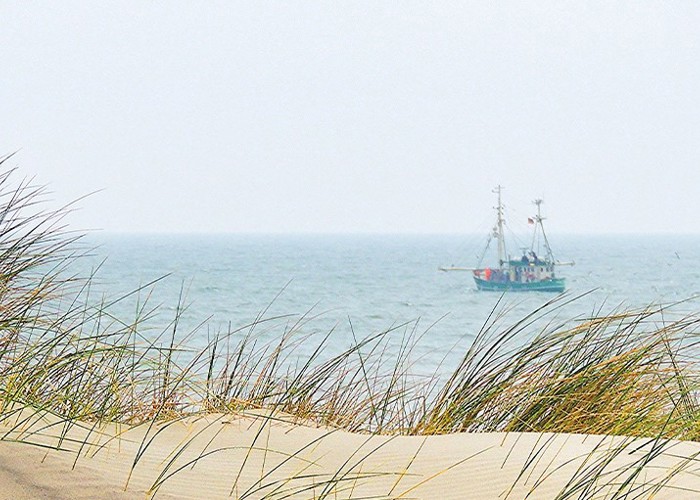 Banner Noordzee
